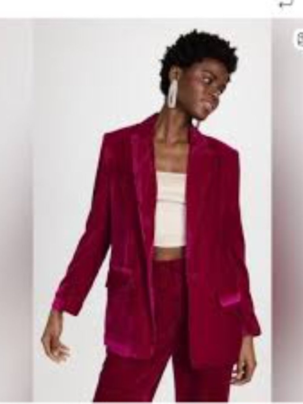 Anthropologie Velvet Blazer - Crushed Pink